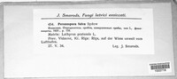 Image Associated With the Occurence